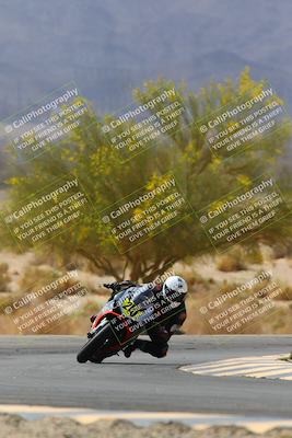 media/Apr-10-2022-SoCal Trackdays (Sun) [[f104b12566]]/Turn 5 Tree of Life (1040am)/